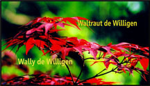 Wally de Willigen